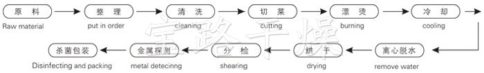 脫水蔬菜帶式干燥工藝流程